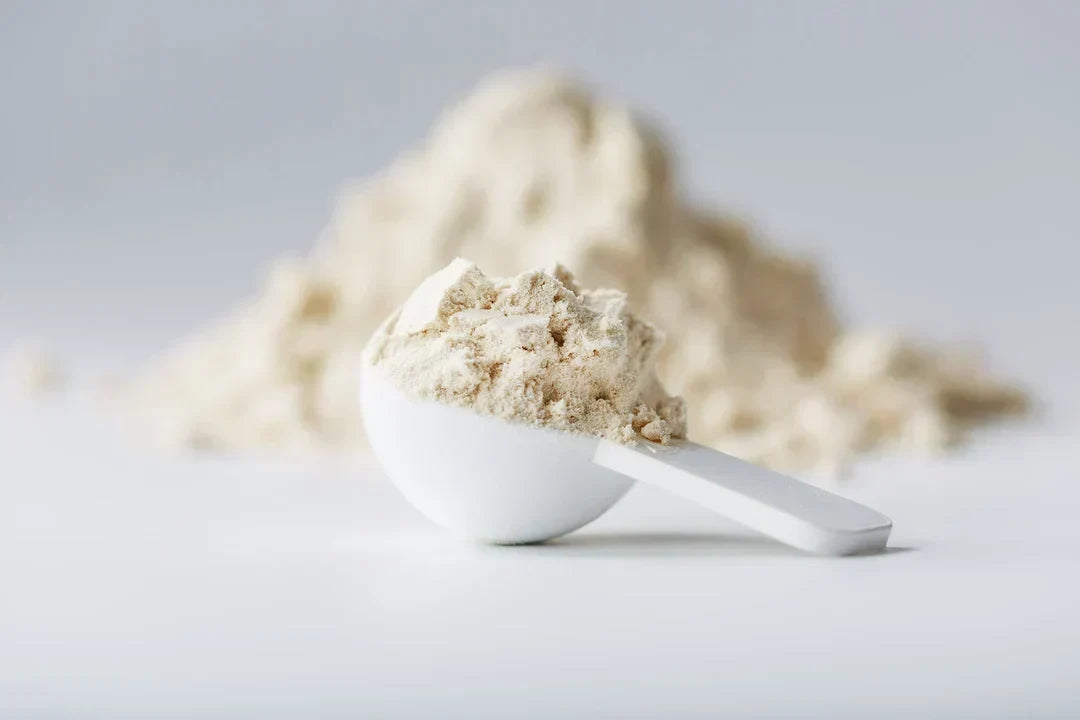 BEST VANILLA PROTEIN POWDERS IN 2022